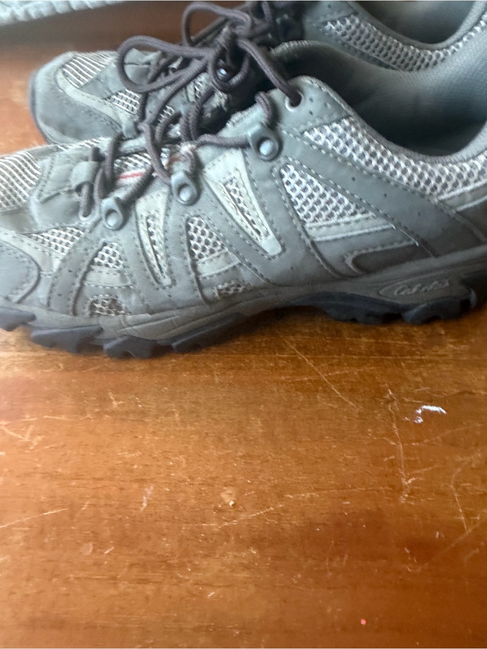 Cabela's Gray Mesh Outdoor Walking Shoes